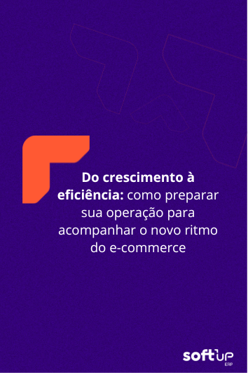 Do crescimento à eficiência: como preparar sua operação para acompanhar o novo ritmo do&nbsp;e-commerce